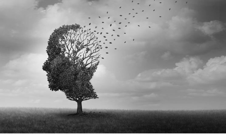 Testamentary capacity dementia